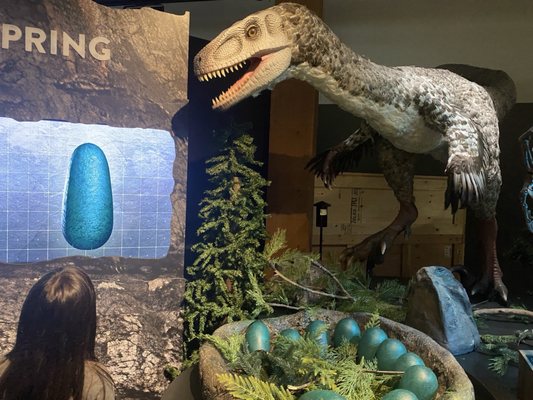 National Mississippi River Museum & Aquarium by null