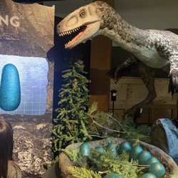 National Mississippi River Museum & Aquarium - Roar or is it Squawk?!?