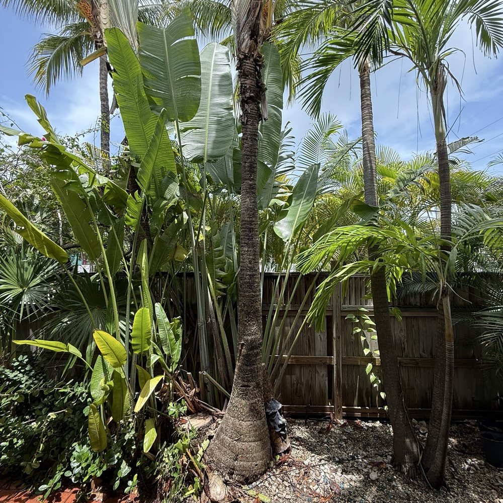 Tree Legends - Tree Services Near Me Tree Legends - Tree Services Near Me