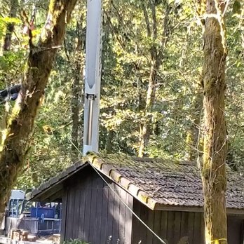 Eduardo's Tree Service - A crane was used to ensure the safety of our pump house. - Tree Services Near Me - Forest Grove, Oregon Eduardo's Tree Service - A crane was used to ensure the safety of our pump house. - Tree Services Near Me - Forest Grove, Oregon