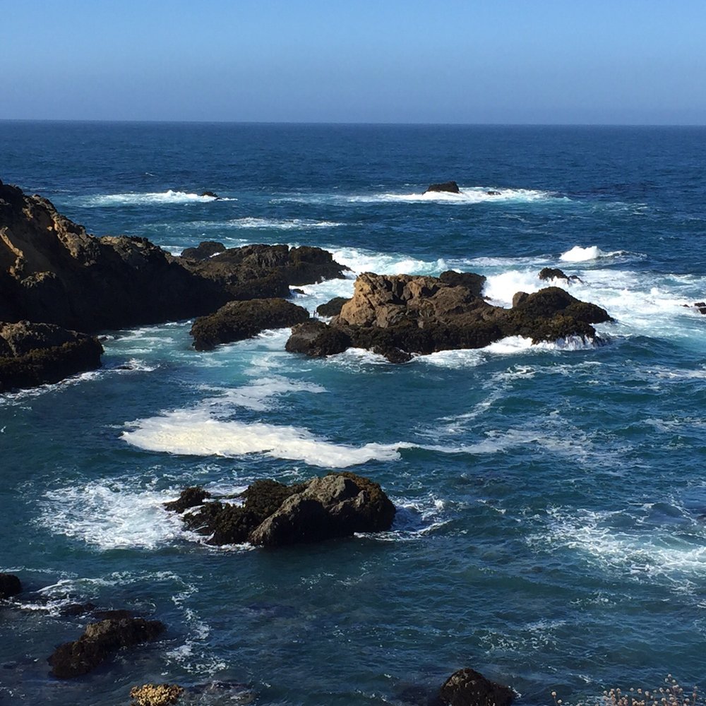 Pomo Bluffs Park - 09.05.16 Labor Day at Fort Bragg - Parks Near Me - Fort Bragg, California Pomo Bluffs Park - 09.05.16 Labor Day at Fort Bragg - Parks Near Me - Fort Bragg, California