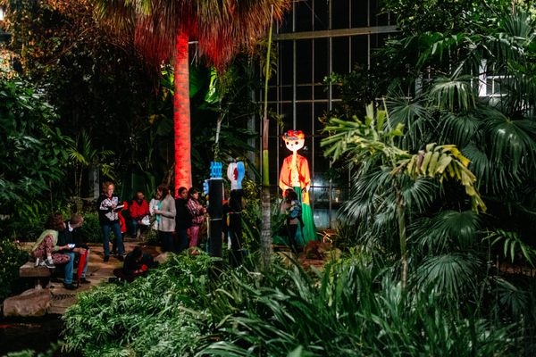 Nicholas Conservatory & Gardens by null