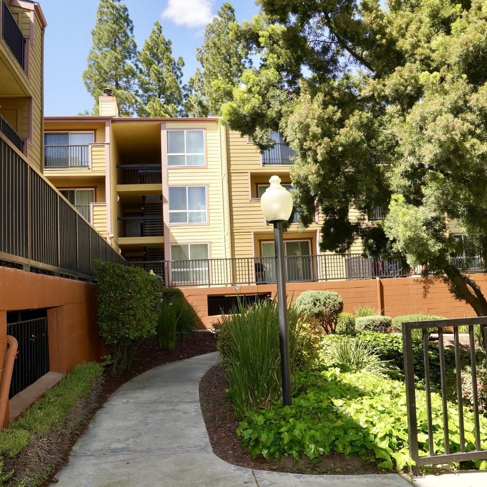 The Crest Pleasant Hill - So peaceful - Apartments Near Me - Pleasant Hill, California The Crest Pleasant Hill - So peaceful - Apartments Near Me - Pleasant Hill, California