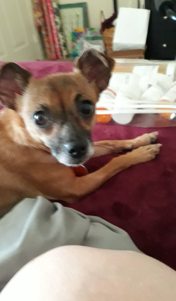 SOUTHSIDE VETERINARY CLINIC Updated October 2024 23 Photos & 30