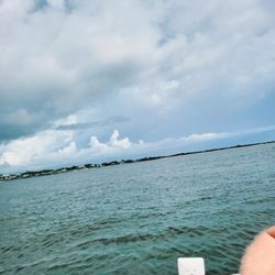 Lucky Dolphin Tours