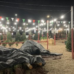Chauvet Tree Farms - New Season Has Started!