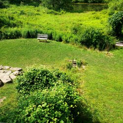 Beechwood Farms Nature Reserve - View from the deck.