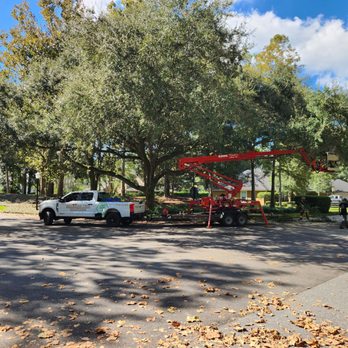 American Tree Solutions - Tree Services Near Me - Jacksonville, Florida American Tree Solutions - Tree Services Near Me - Jacksonville, Florida