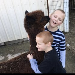 Alpacawaka Barn & Pastures