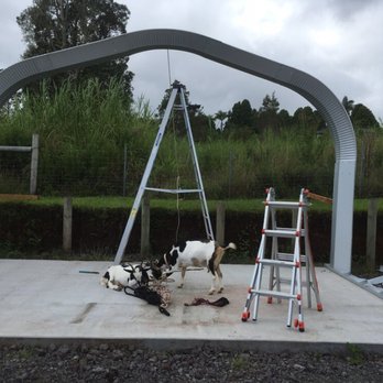SteelMaster Buildings - Our goats decided to help with the construction of their new home. - Sheds & Outdoor Storage Near Me - Virginia Beach, Virginia