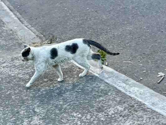 Papalote Museo del Niño by null