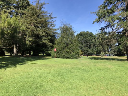 Green Lake Pitch & Putt by null