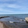 Photo of Webster Park