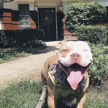 Century Moving - Our smiling Phoebe is happy to be in her new home! - Movers Near Me - Lombard, Illinois