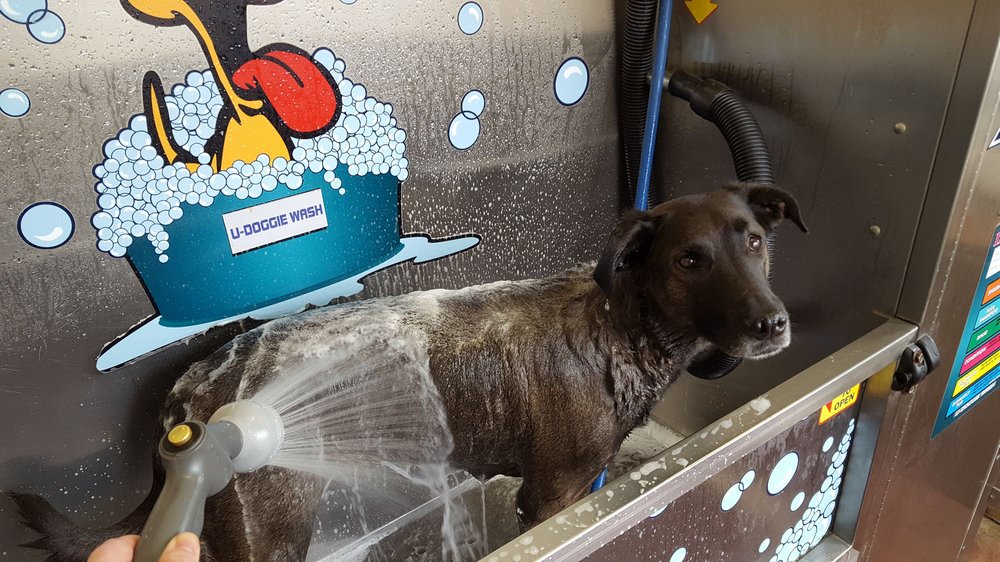 XPRESS TUNNEL WASH Updated August 2024 3201 Devils Glen Rd