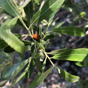 Silverwood Lake State Recreation Area - Parks Near Me - Hesperia, California
