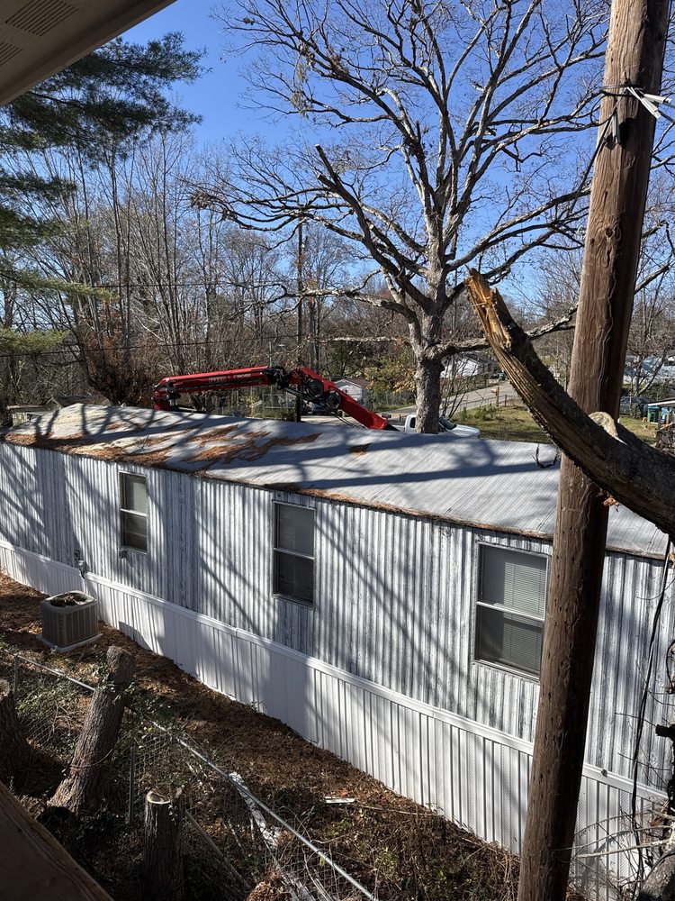 Trout Brook Landscaping - tree service in West Hartford, CT