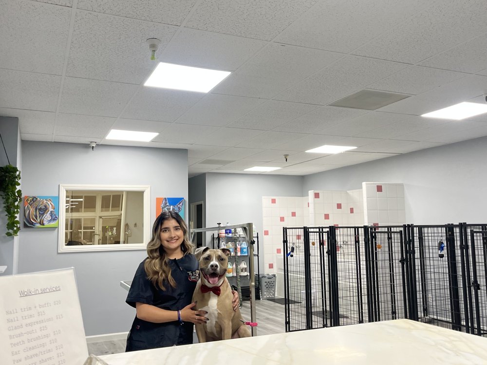 THE FUR GALA Updated September 2024 22 Photos 3657 Avocado Blvd, La Mesa, California Pet