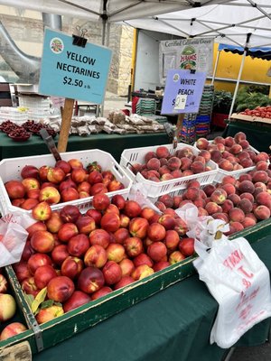 Hayward Farmers Market by null