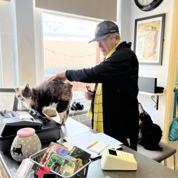 Manx Cat Cafe