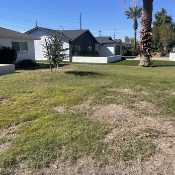 GreenGuard - Landscaping Near Me - Phoenix, Arizona GreenGuard - Landscaping Near Me - Phoenix, Arizona