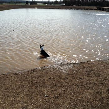 Cedar Bark Park - Dog Parks Near Me - Cedar Park, Texas Cedar Bark Park - Dog Parks Near Me - Cedar Park, Texas