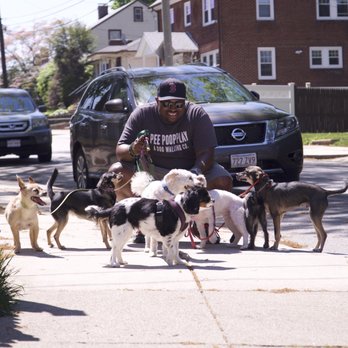 Pee Poop Play - hanging with the pack - Pet Boarding Near Me