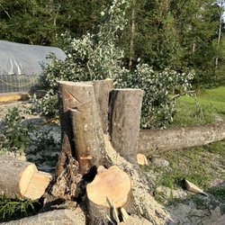K&A handyman - Tree removal