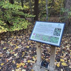 Donaldson Run Park