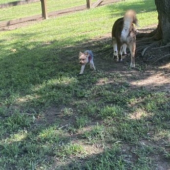 Two Rivers Dog Park - Dog Parks Near Me - Nashville, Tennessee Two Rivers Dog Park - Dog Parks Near Me - Nashville, Tennessee