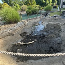Bavarian Mountain Miniature Golf and Arcade - The "water hazard" that every single ball had to go into, and the player had to retrieve during the game.