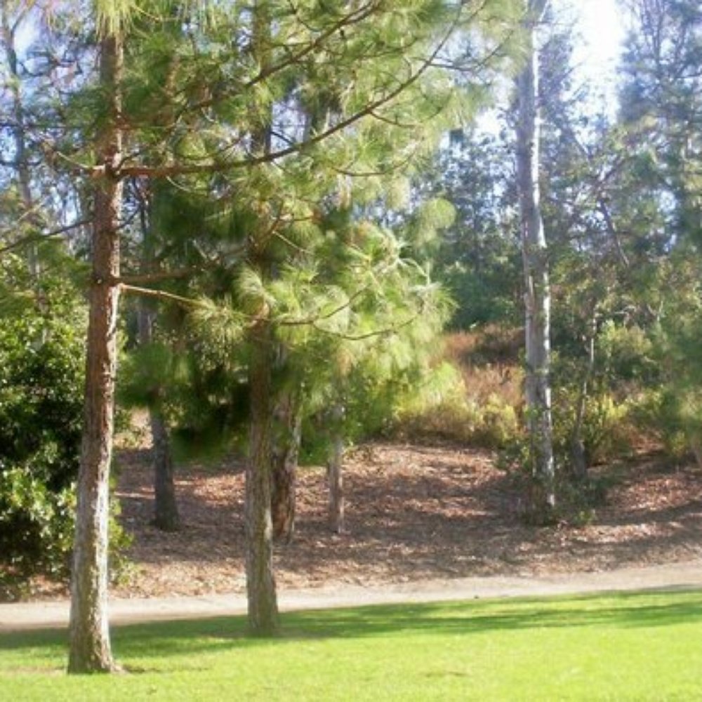 Hillside Recreation Center - Community Centers Near Me - El Cajon, California