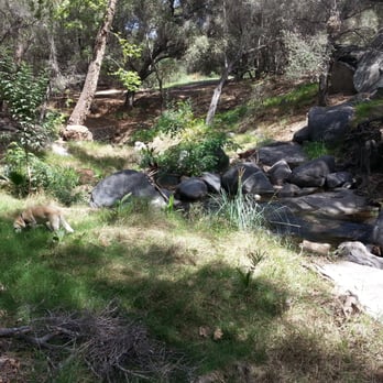 Felicita County Park - Parks Near Me - Escondido, California Felicita County Park - Parks Near Me - Escondido, California