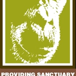 Chimpanzee Sanctuary Northwest
