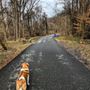 Photo of Darby Creek Trail