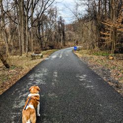 Darby Creek Trail