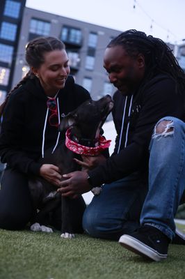 Bark Social by null
