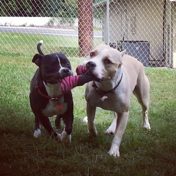 All 4 Paws - Pet Groomers Near Me - Newark, Delaware All 4 Paws - Pet Groomers Near Me - Newark, Delaware