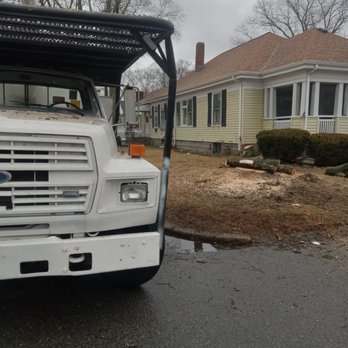 Edgewood Tree Service - Tree Services Near Me