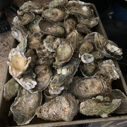 Grant's Oyster House - All cleaned and ready to steam!