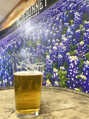 Bluebonnet Beer Company by null