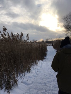 Boucherville Islands National Park by null