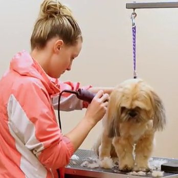 Mt Hood Pet Resort - Pet Groomers Near Me - Sandy, Oregon