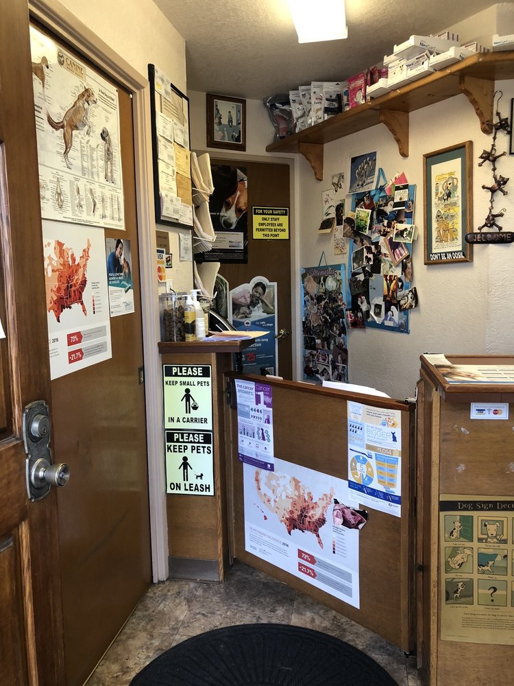 MOORE VETERINARY CARE Updated May 2024 78 Photos & 80 Reviews 853