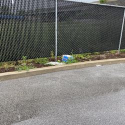 The Spot - Trash