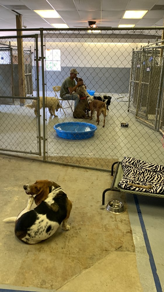 PAPA’S DOG BARN Updated October 2024 Request Consultation 41