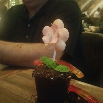 Yardbird - The Chocolate Potted Plant - Southern Near Me - Las Vegas, Nevada Yardbird - The Chocolate Potted Plant - Southern Near Me - Las Vegas, Nevada