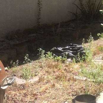Mendiola's Landscaping - BEFORE: Side yard was full of weeds and gravel - Landscaping Near Me Mendiola's Landscaping - BEFORE: Side yard was full of weeds and gravel - Landscaping Near Me