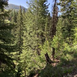 Smith and Morehouse Campground