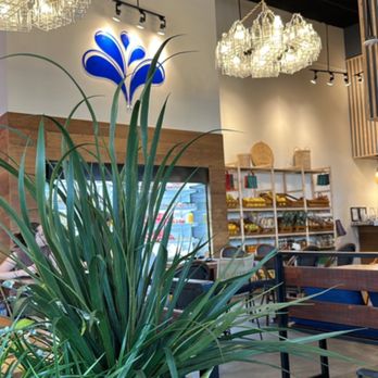 Ojo de Agua - Juice Bars & Smoothies Near Me - Houston, Texas Ojo de Agua - Juice Bars & Smoothies Near Me - Houston, Texas